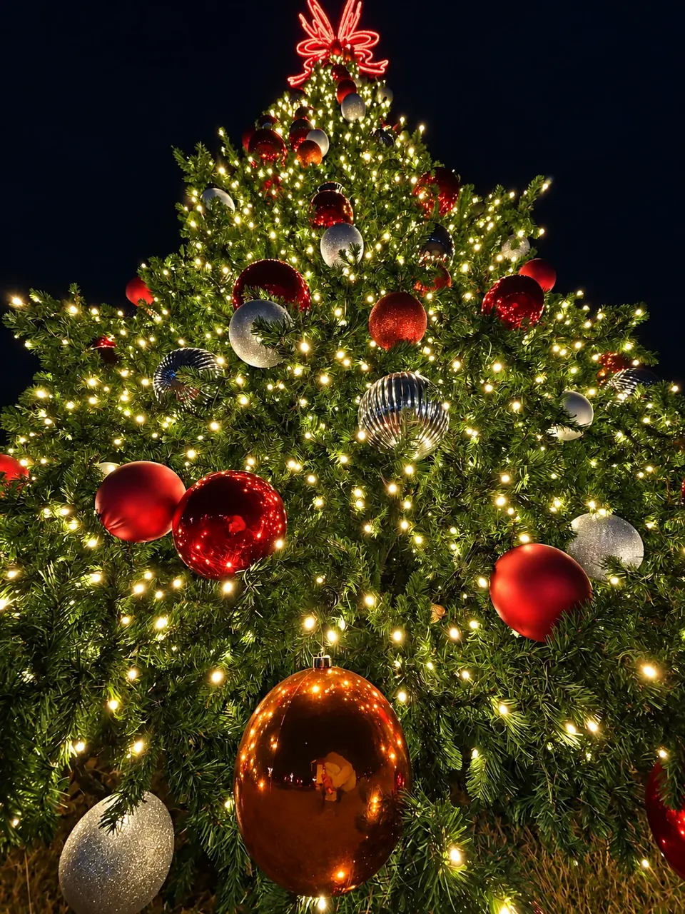 Red and silver ornaments among warm white lights on a community Christmas tree at night