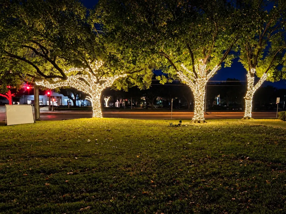 Warm white holiday lights on trees beside a commercial street